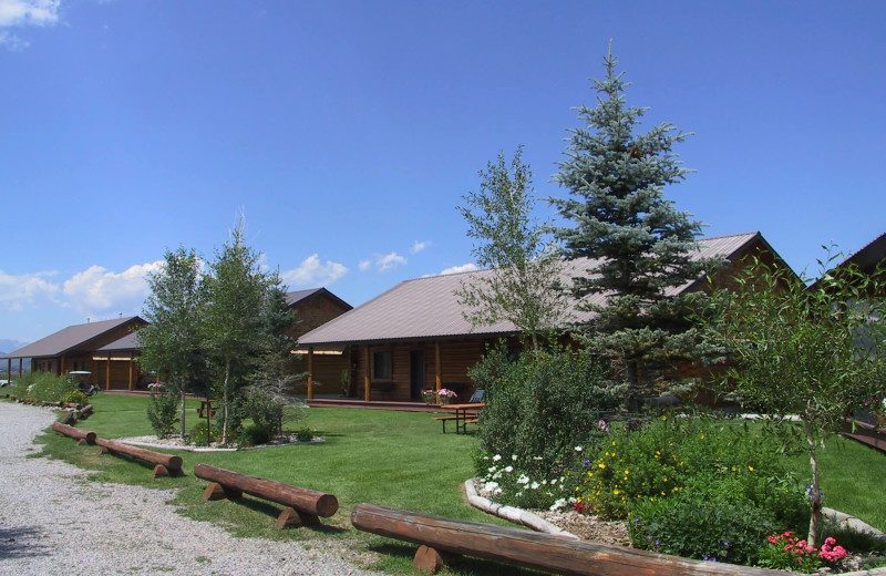 Luton's Teton Cabins (Moran, WY) Resort Reviews