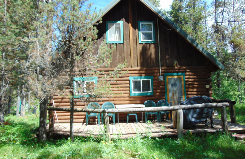 Island Park Vacation Rentals Cabin Cozy 2Bedroom Cabin Near