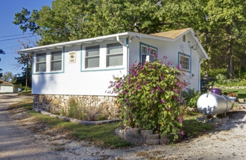 Gravois Mills Vacation Rentals Cabin Blue Gill Tier 2 Cabin Rental