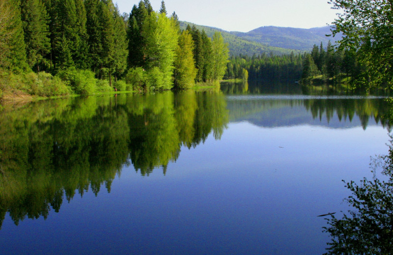 Stoneridge Resort (Blanchard, ID) Resort Reviews