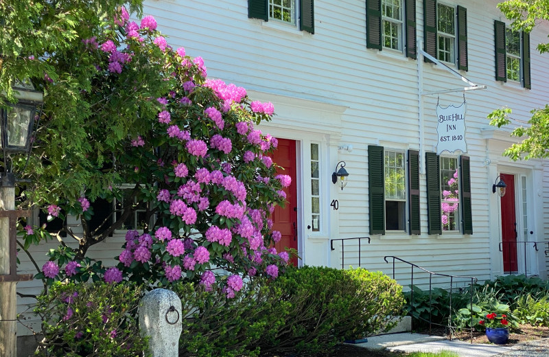 The Blue Hill Inn (Blue Hill, ME) Resort Reviews