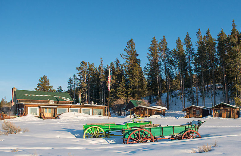 Triangle X Ranch (Moose, WY) Resort Reviews