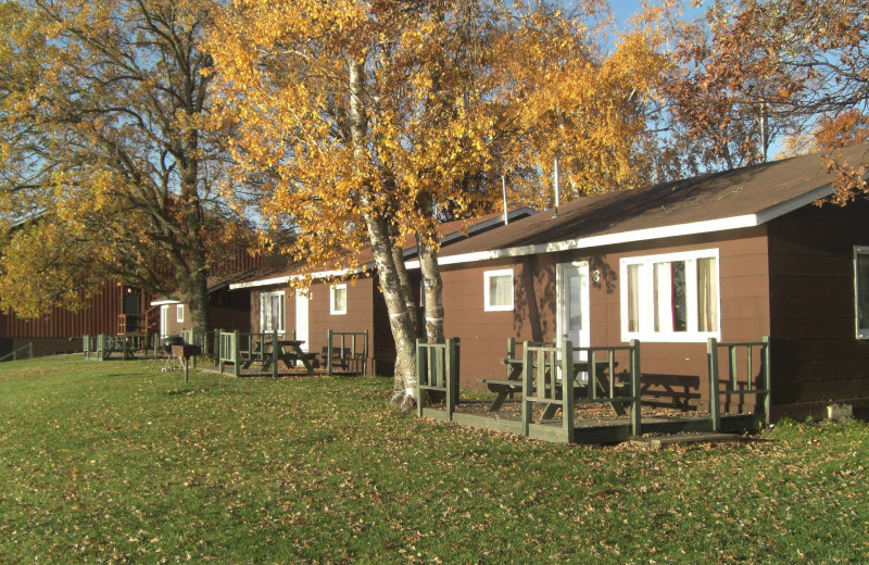 Sportsman's Lodge (Baudette, MN) Resort Reviews