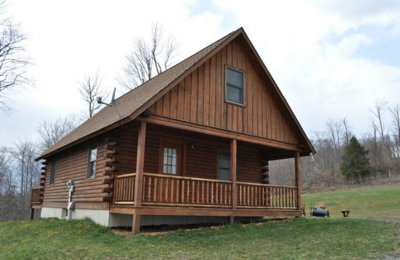 Bass Mountaintop Cabin Rentals (Hancock, NY) Resort Reviews