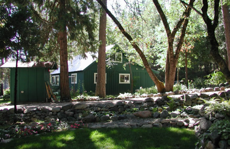 Ripple Creek Cabins (Trinity Center, CA) Resort Reviews