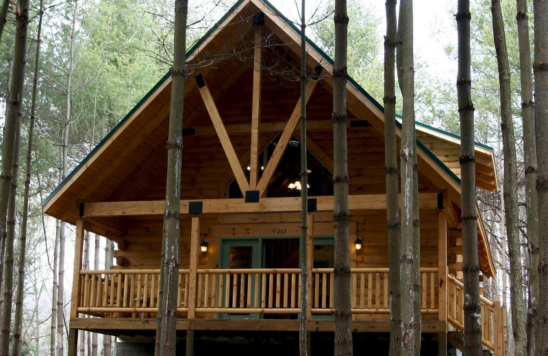 The Cabins at Pine Haven (Beaver, WV) Resort Reviews
