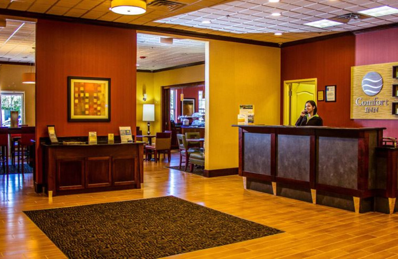 Comfort Inn Ballston (Arlington, VA) Resort Reviews
