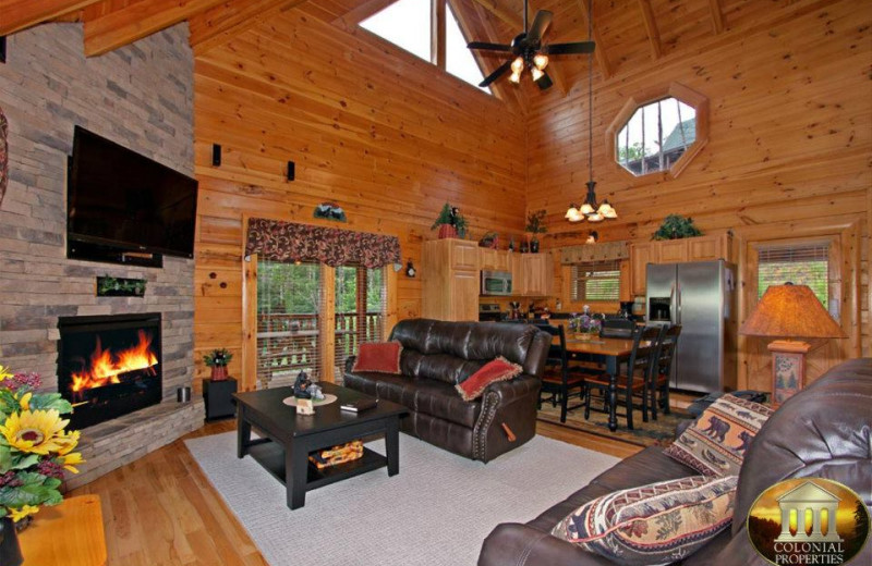 Colonial Properties Cabin & Resort Rentals (Pigeon TN) Resort Reviews