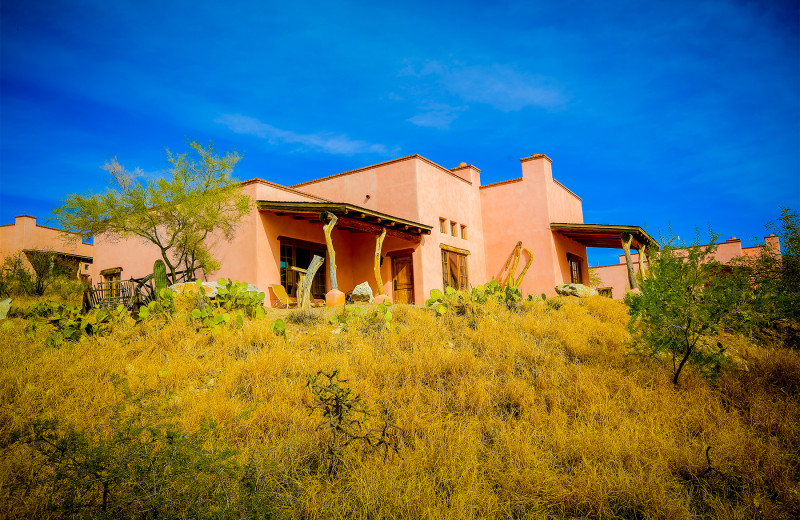 Tanque Verde Ranch (Tucson, AZ) Resort Reviews