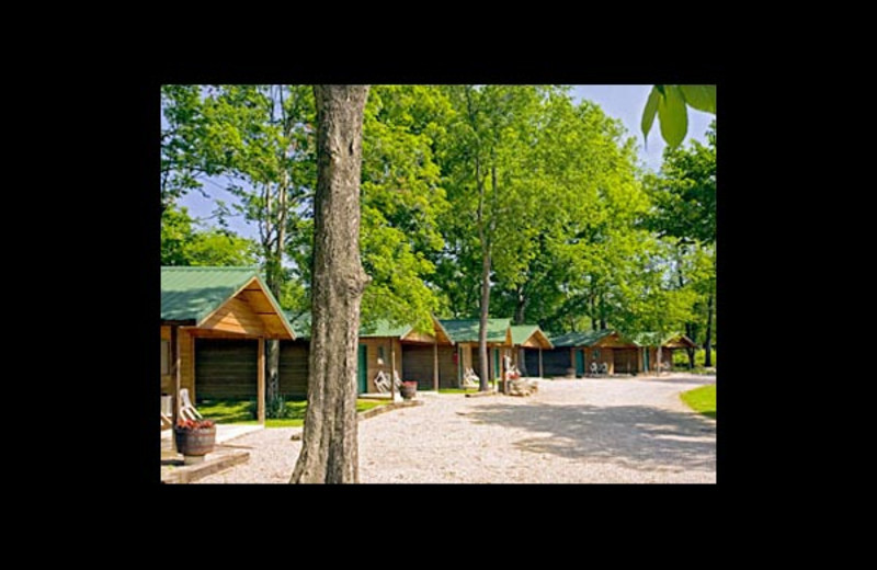 Shady Lane Cabins & Motel (Eminence, MO) Resort Reviews