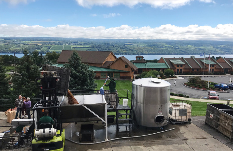 Inn at Glenora Wine Cellars (Dundee, NY) Resort Reviews