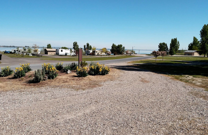 Willow Bay Resort (Spicer, MN) Resort Reviews