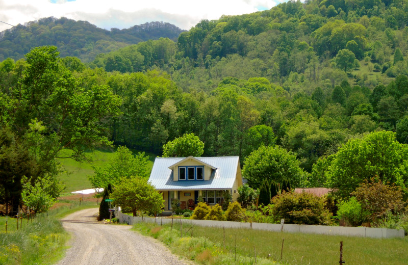 The Gardener's House at Frog Holler (Waynesville, NC) Resort Reviews
