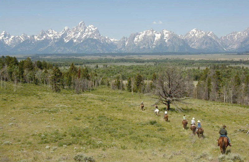 Moose Head Ranch (Moose, WY) Resort Reviews