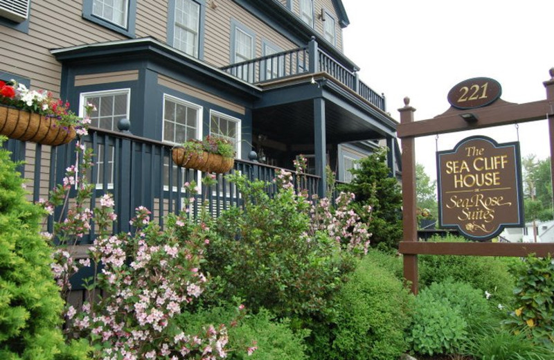 Sea Rose Suites (Ogunquit, ME) Resort Reviews