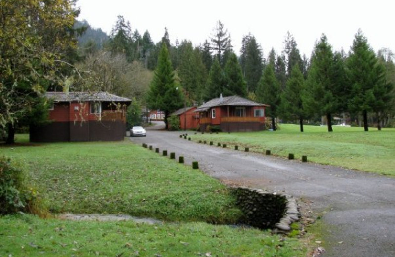 Rain Forest Resort Village (Quinault, WA) Resort Reviews