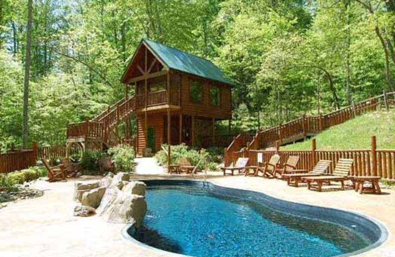 Pigeon Vacation Rentals Cabin Tree Top Lodge American