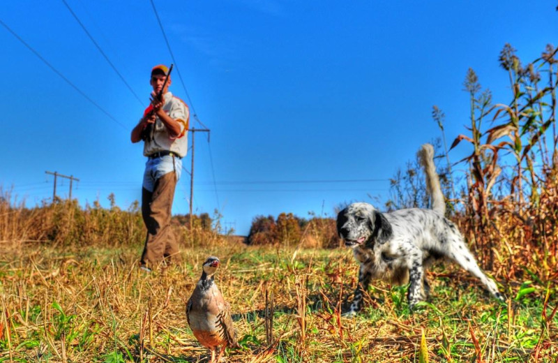 Deer Creek Lodge (Sebree, KY) Resort Reviews