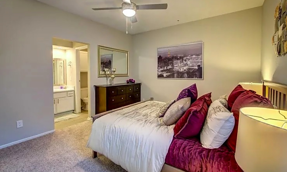 Budget apartments for rent in Far North, Dallas