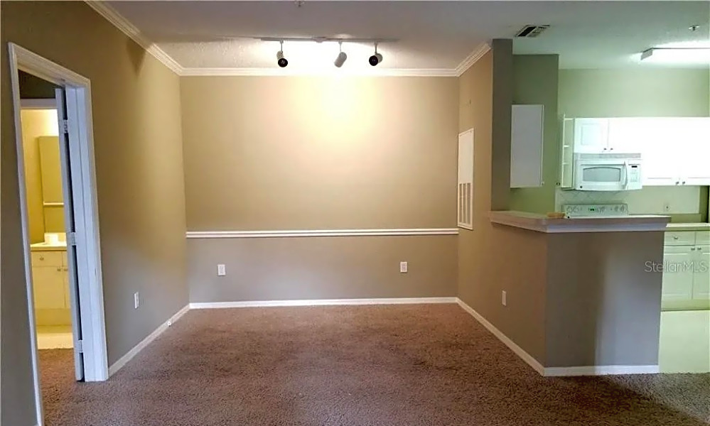 Apartments for rent in Tampa What will 1,100 get you?