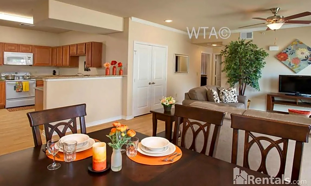 Apartments for rent in San Antonio What will 1,000 get you?