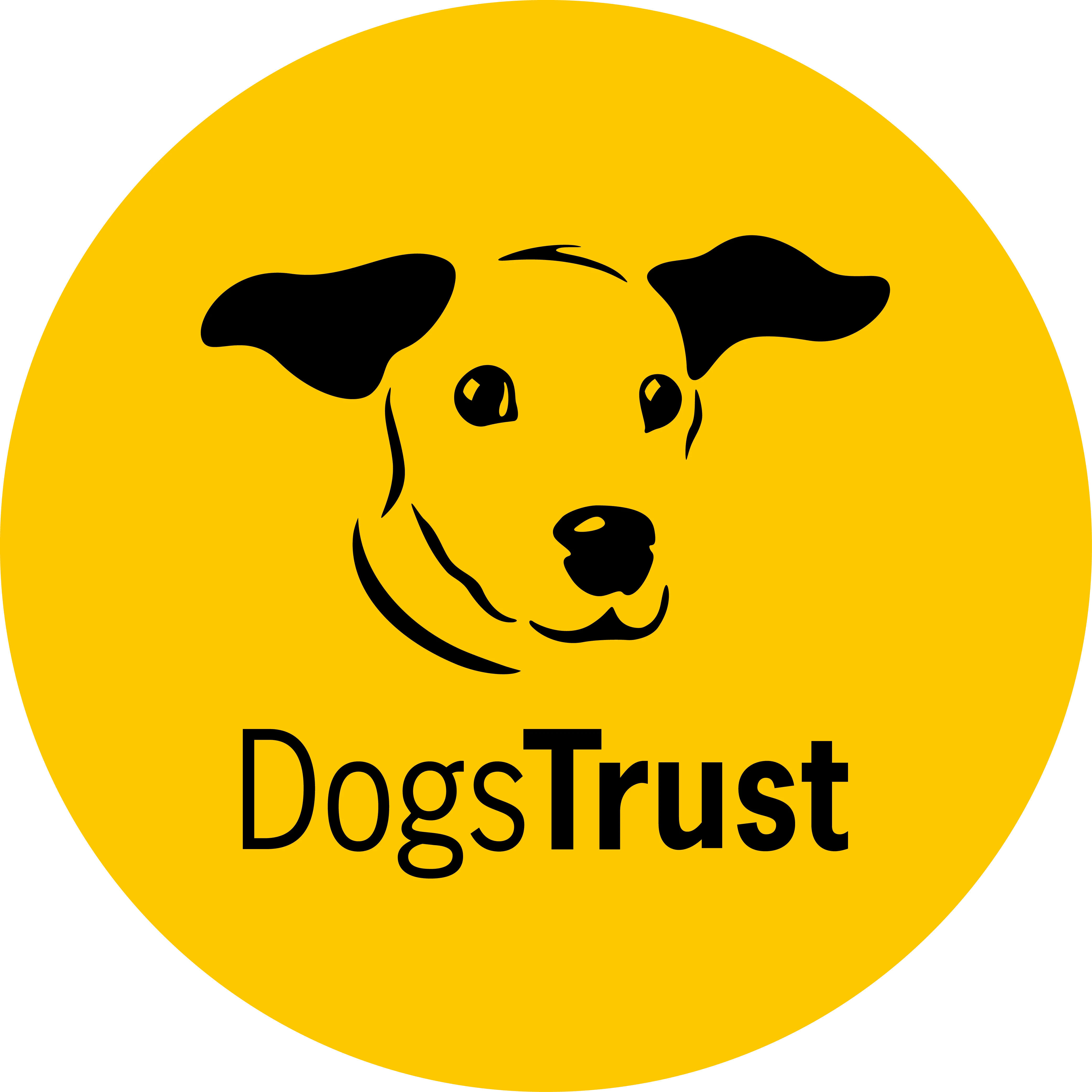 Dogs Trust & Cats Protection Partnership Shark UK