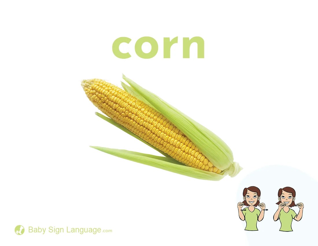 Corn