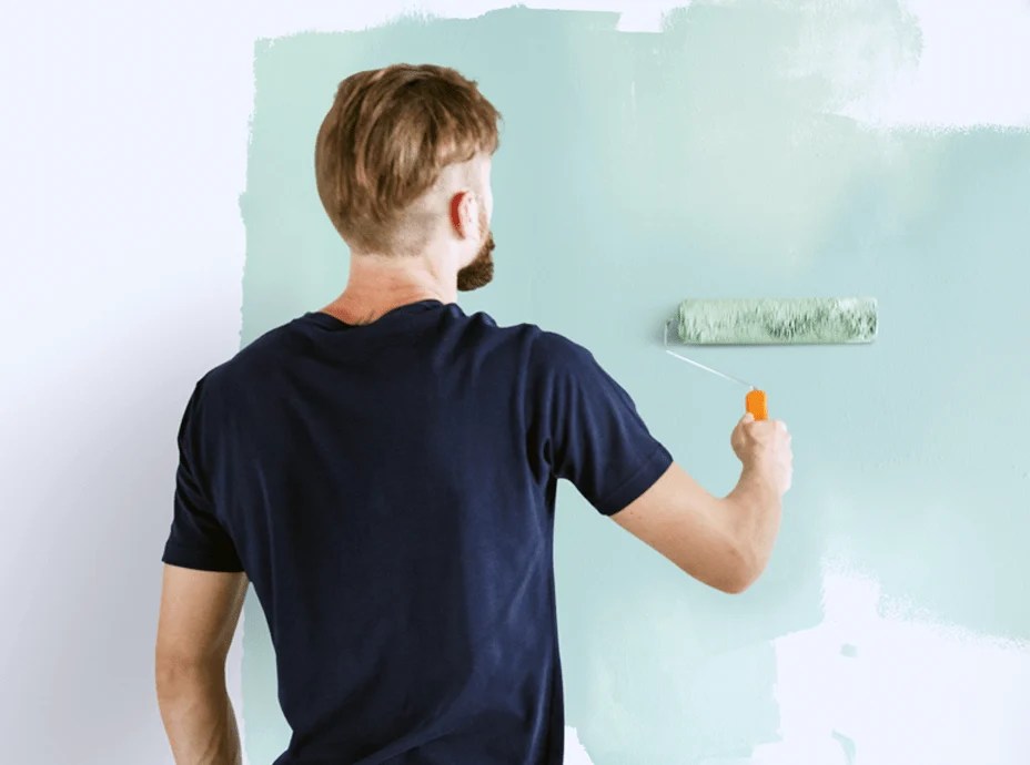 House Painting Services Taskrabbit
