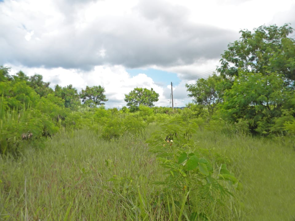 Lears 22 Acres • Land • Barbados Real Estate & Property For Sale and