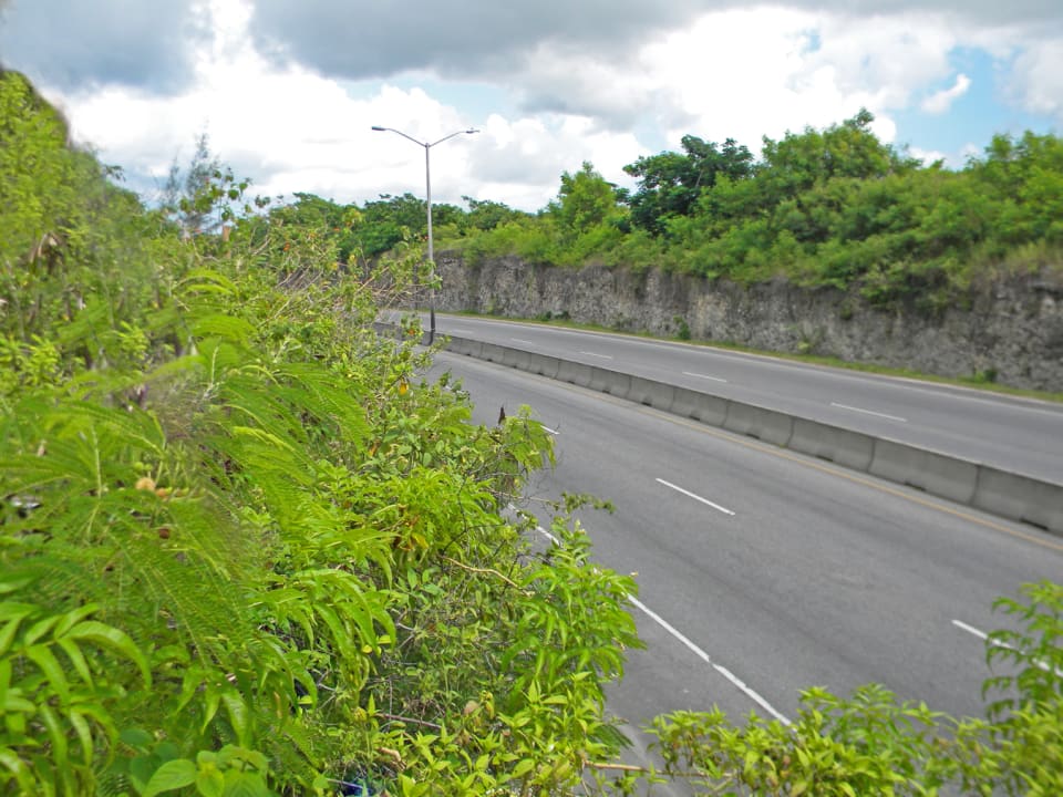 Lears 22 Acres • Land • Barbados Real Estate & Property For Sale and