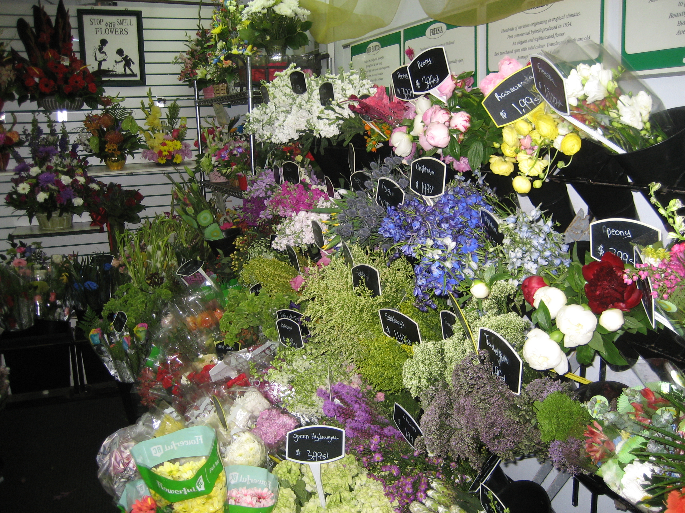 About Edmonton Flowers Ltd Reviews, Hours & Delivery in Edmonton AB