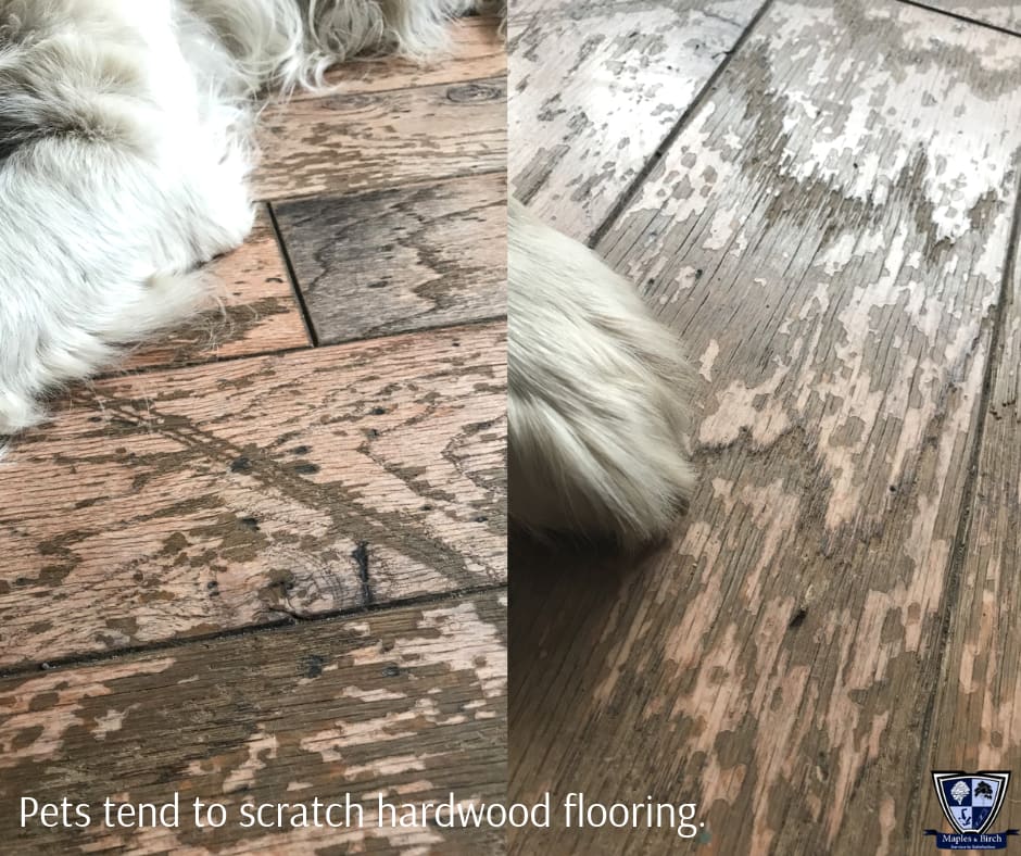 Choosing the right petfriendly hardwood floor Maples And Birch
