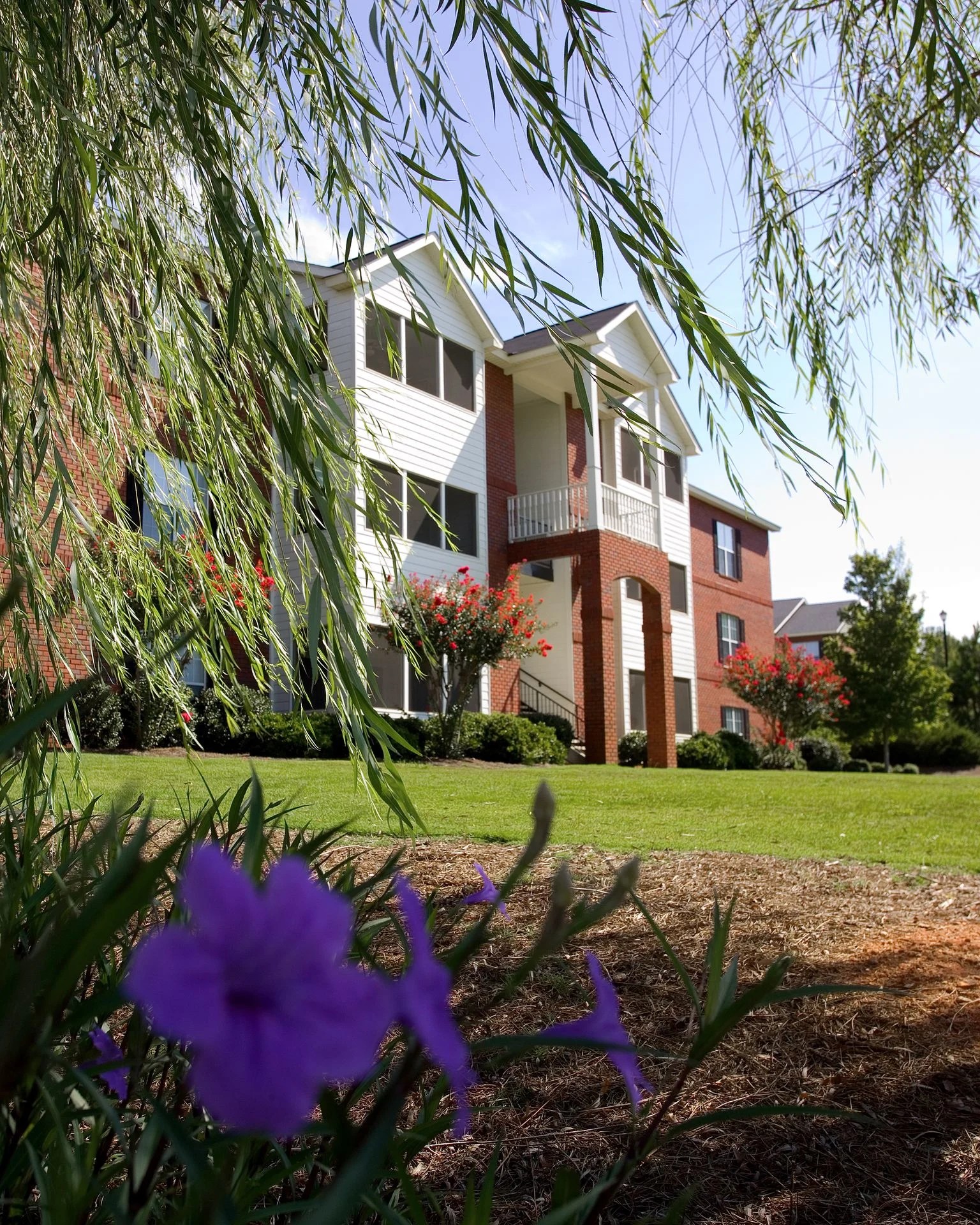 Photos and Video of Greystone Farms in Columbus, GA