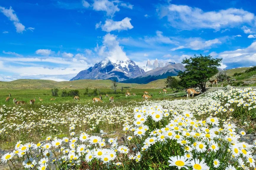 summer horns tour 2023 Summer 2023 Vacation Ideas Best Places and Itineraries Zicasso