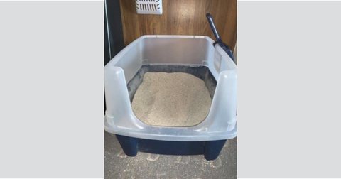 Litter boxes for students who identify as furries? Not so, says school