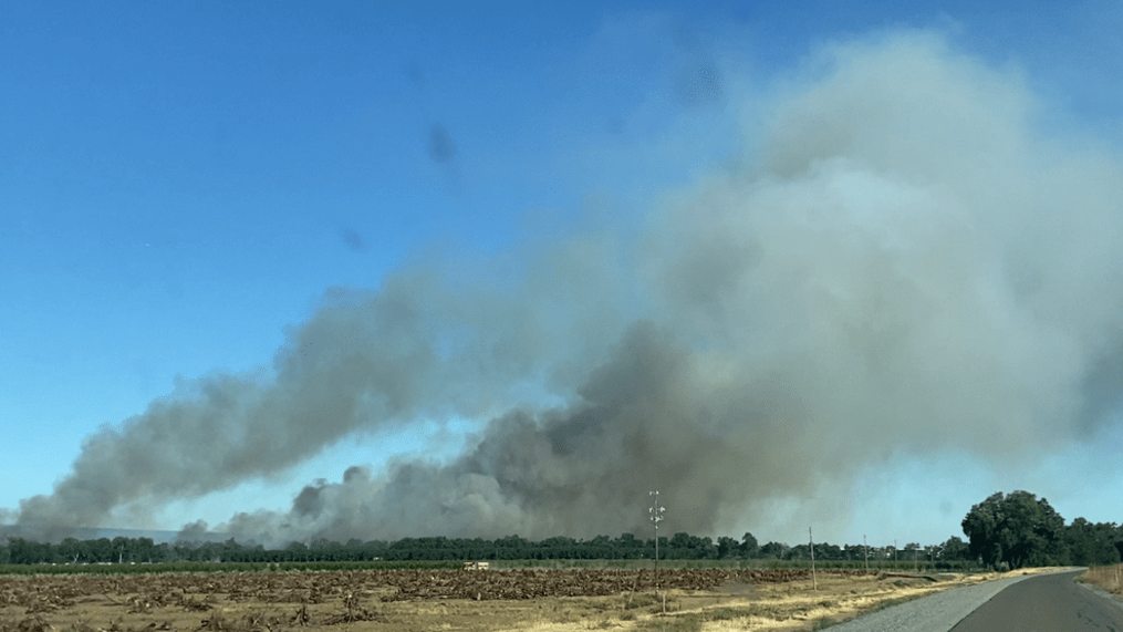 UPDATE Dairy Fire grows to 150 acres south of Red Bluff, 20 contained