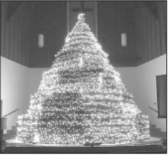 First Baptist Living Christmas Tree 2022 Living Christmas Tree Returns To Maryville's First Baptist Church - Opera News