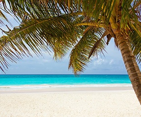 2023 Waterfront Blues Festival Lineup Waterfront Blues Fest Releases 'Upriver' 2021 Lineup - Opera News