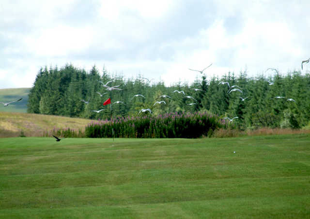 Douglas Water Golf Club in Rigside, South Lanarkshire, Scotland Golf