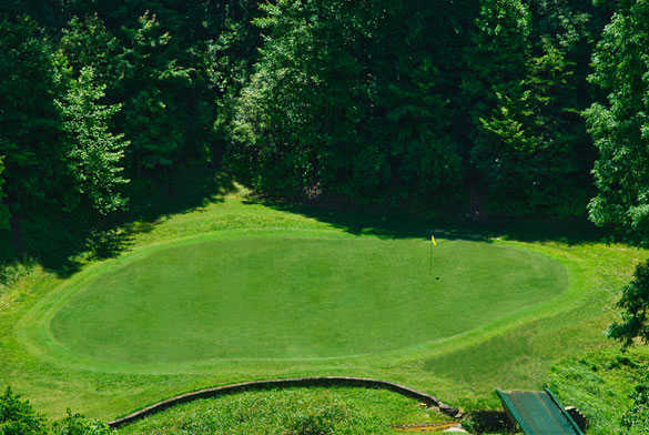 Innsbruck Golf Club in Helen, USA Golf Advisor