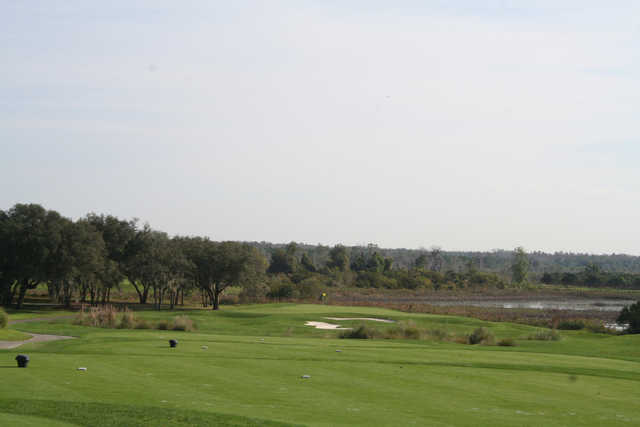Crooked Cat at Orange County National in Winter Garden, Florida, USA