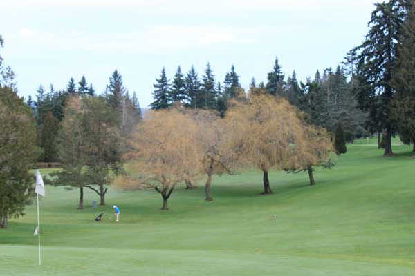 Tam O'Shanter Golf & Country Club in Bellevue, Washington, USA Golf