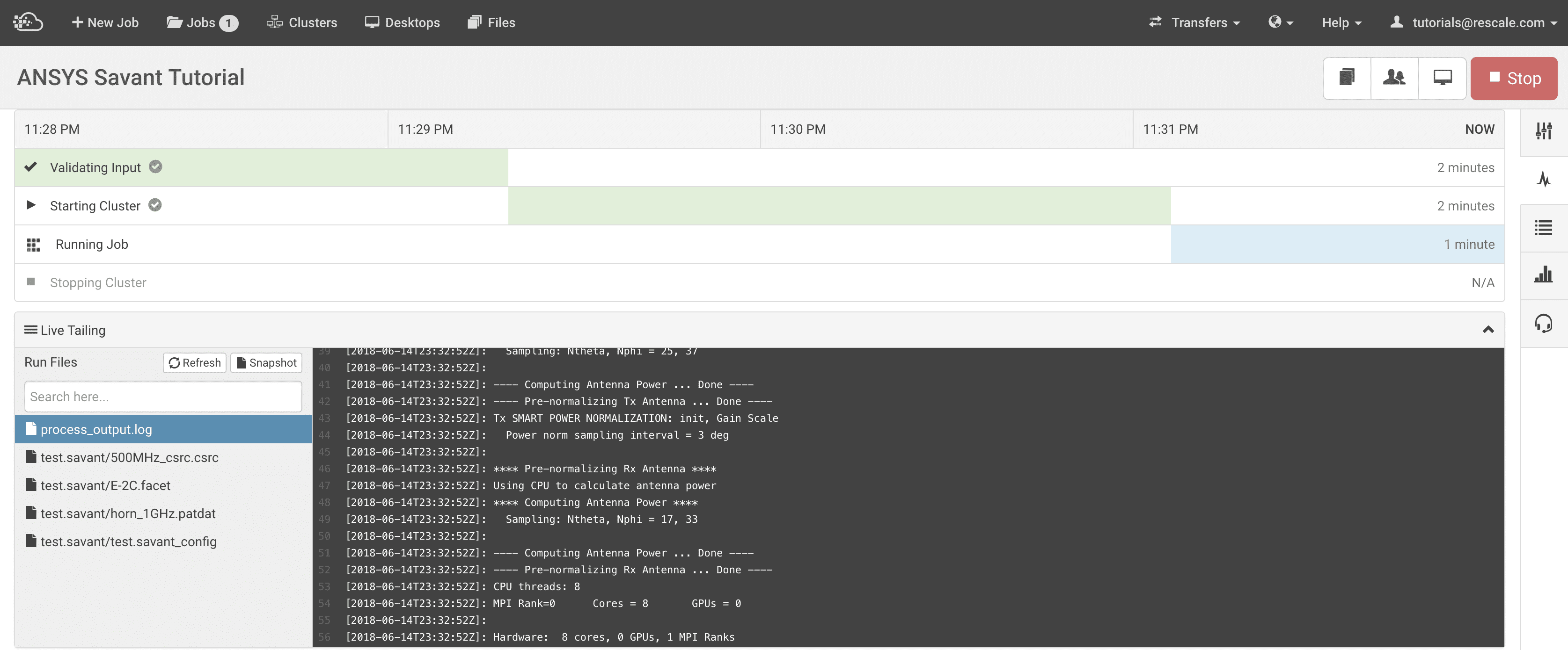 ANSYS Savant Batch Tutorials Rescale