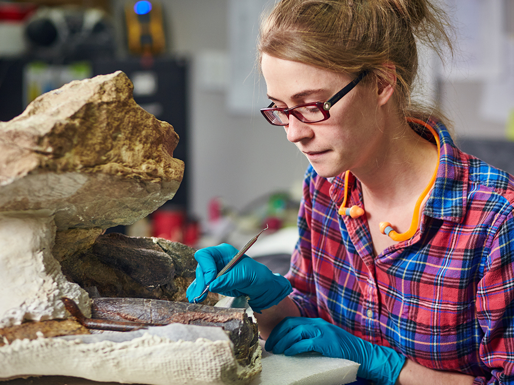 Fossil Preparation, Restoration, & Conservation Research Casting