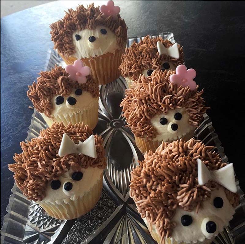 Hedgehog Cupcakes Resch's Bakery, Columbus Ohio