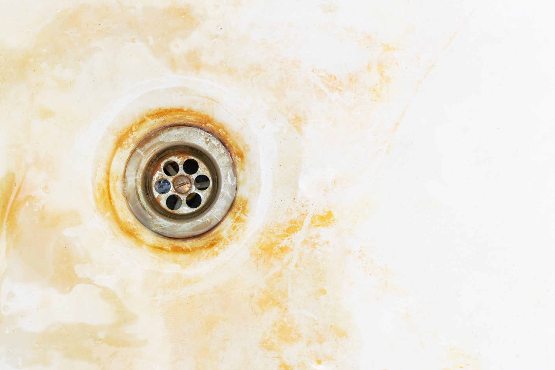 Iron Bacteria in Well Water What You Need to Know Rescon Basement