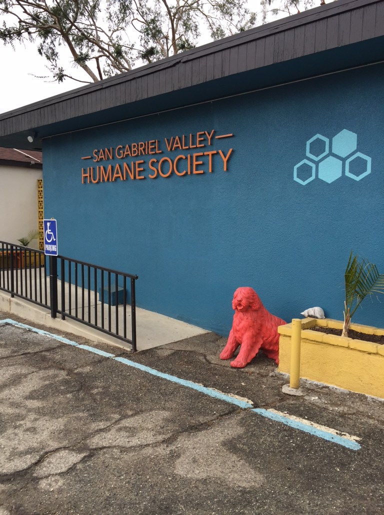 San Gabriel Valley Humane Society Rescue All Dogs