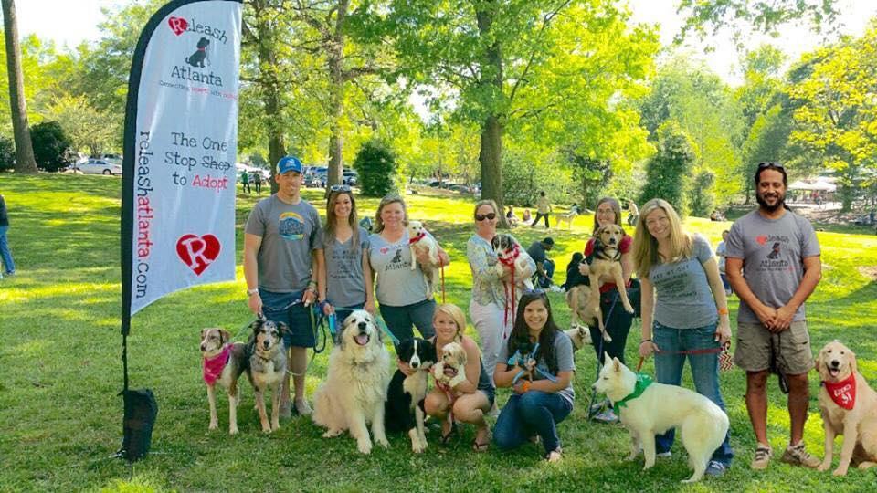 Releash Atlanta! Rescue Dog Games