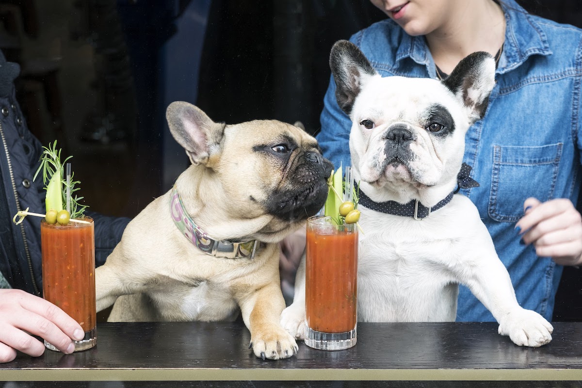 The best outdoor dining spots in Glasgow Dish Cult