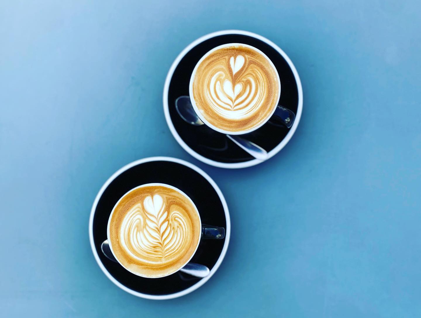 Christchurch’s Best Spots For A Cup Of Coffee Dish Cult